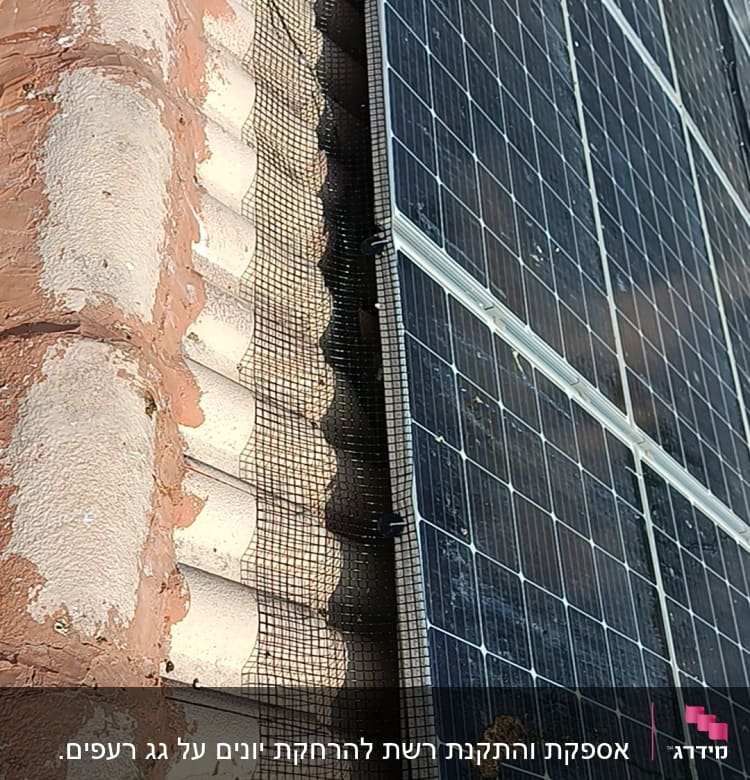 רשת מונעת יונים ליד פאנלים סולאריים על גג רעפים